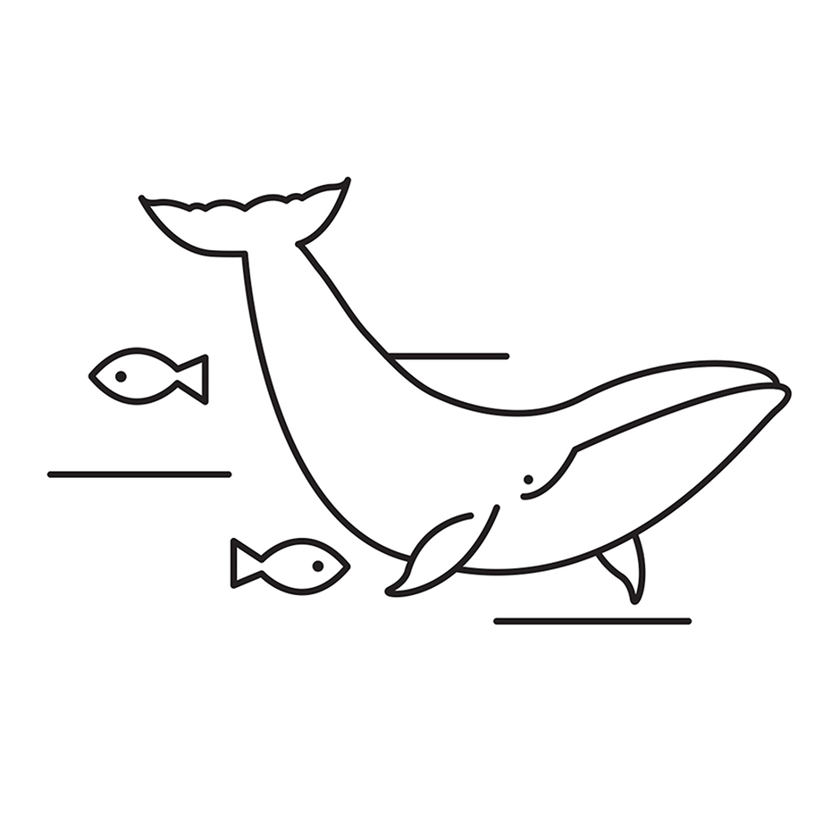 Out of Sight Brewery